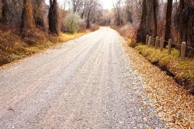 旅游景區(qū)道路與游步道設計建議